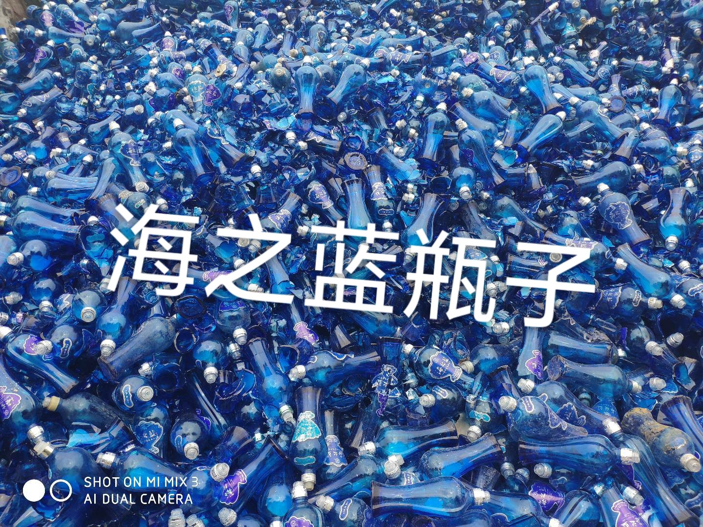 海门区海之蓝瓶回收